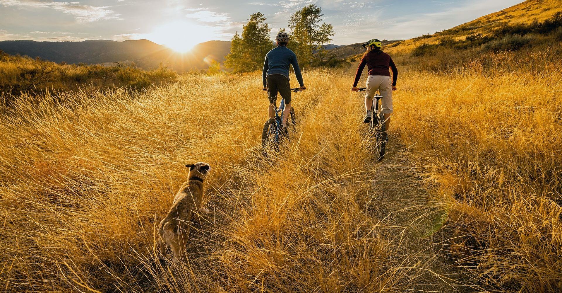 Ciclistas recreativos contemplando un atardecer a campo traviesa